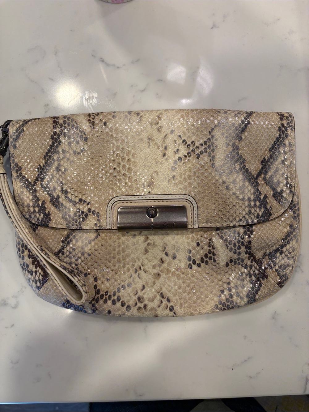 Coach Snake-Print Wristlet Clutch in Beige and Black